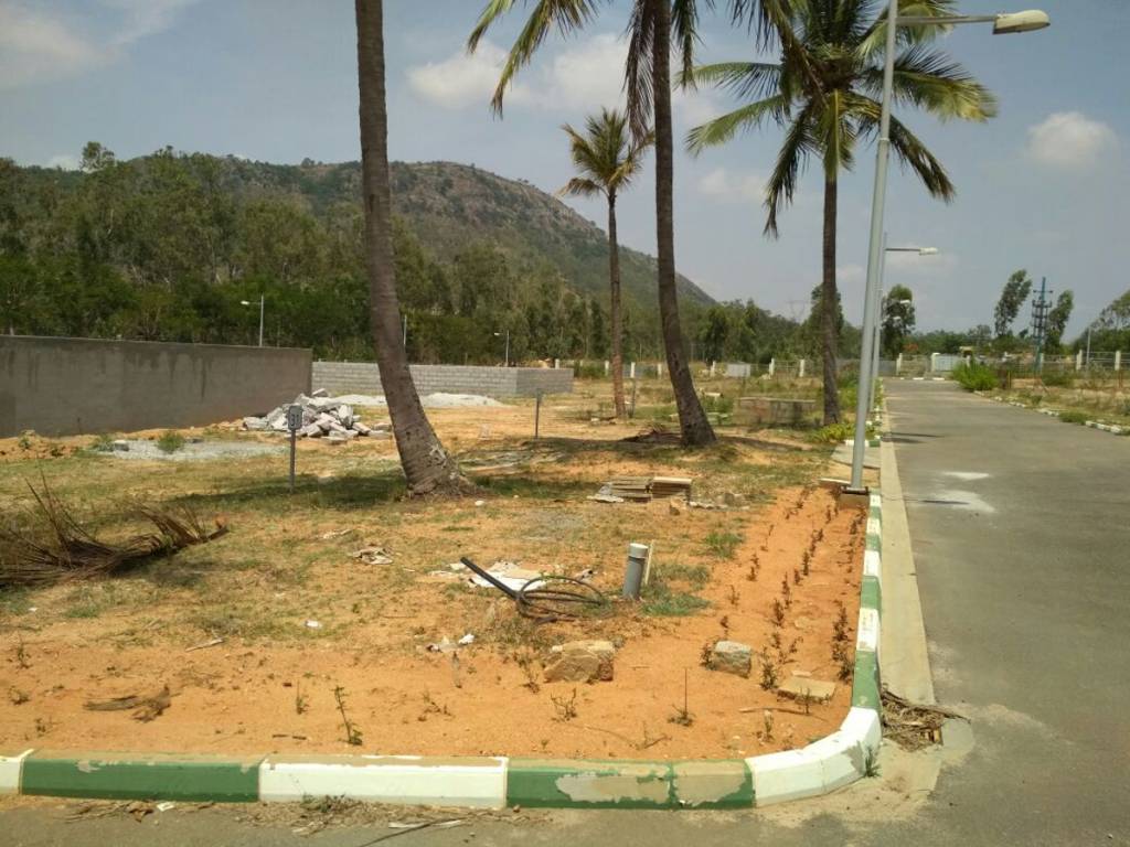 Images for Main Other of DivyaSree Base Camp