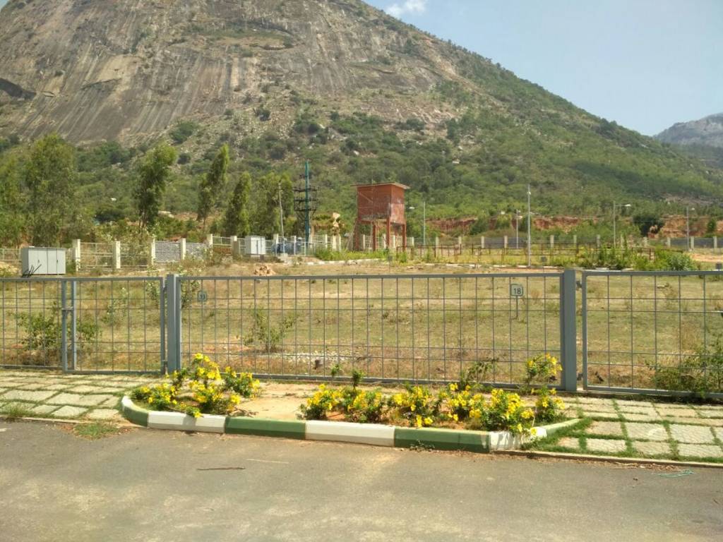 Images for Main Other of DivyaSree Base Camp