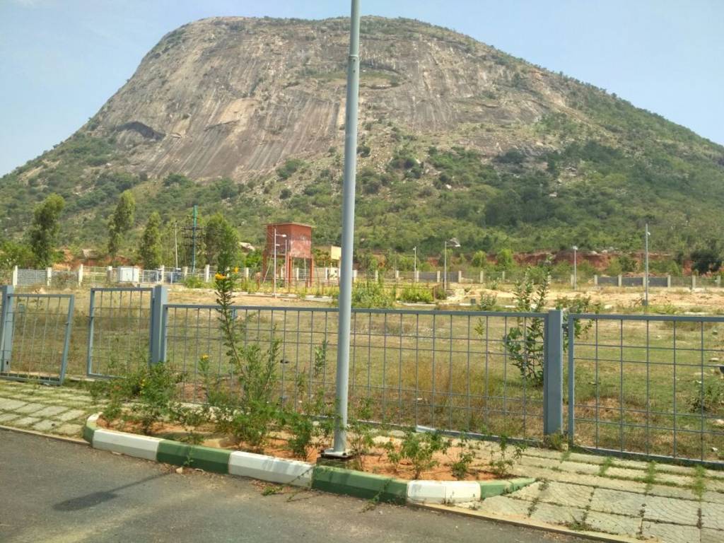 Images for Main Other of DivyaSree Base Camp