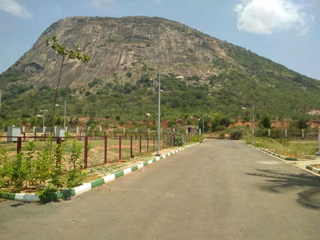 Images for Main Other of DivyaSree Base Camp