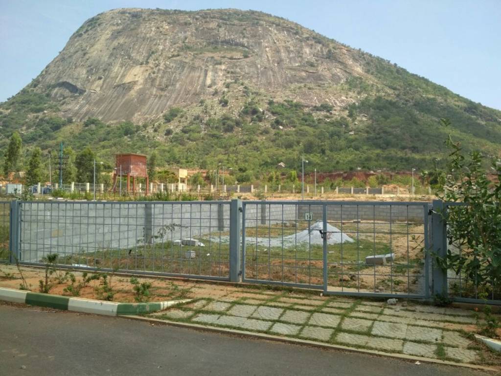 Images for Main Other of DivyaSree Base Camp