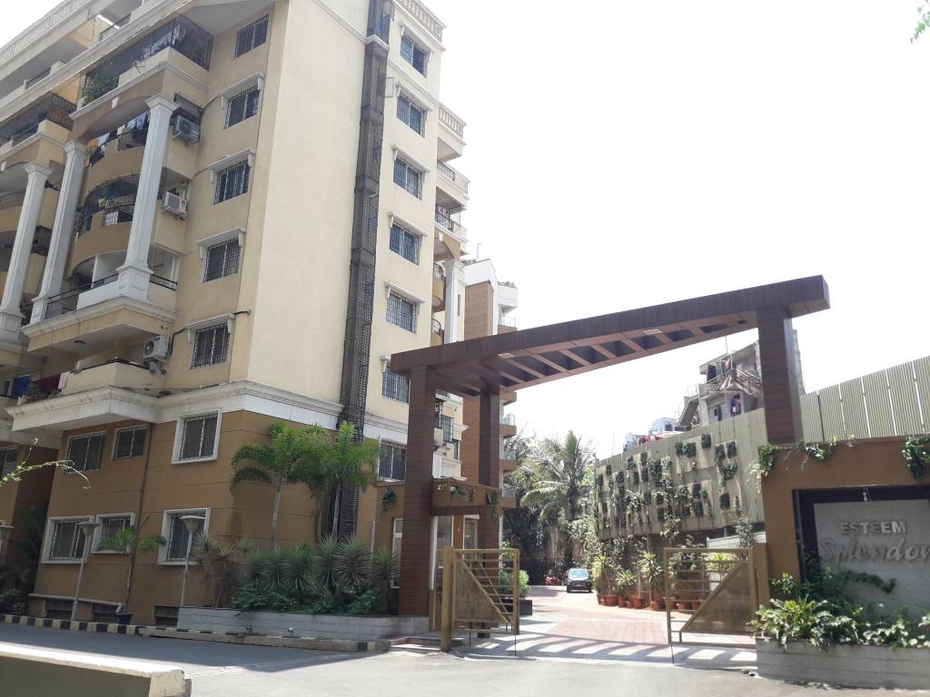  splendor ii Images for Project