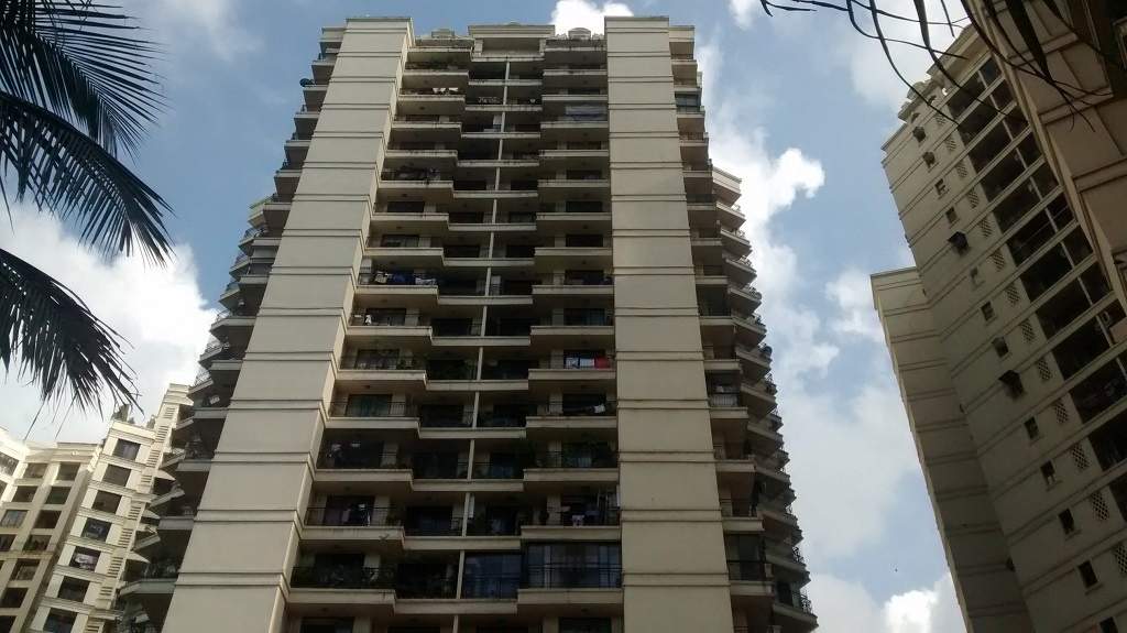 Supreme Lake Primrose