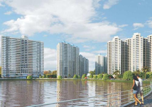  lake-primrose Images for Elevation of Supreme Lake Primrose