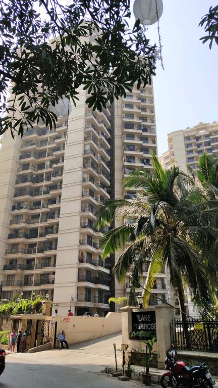  lake primrose Images for Project