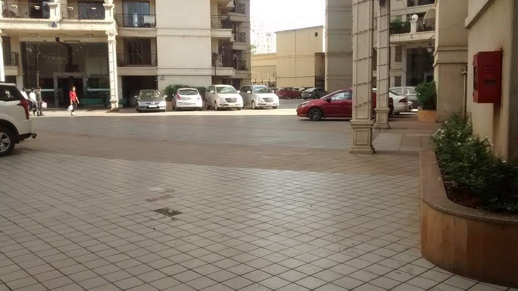 Supreme Lake Primrose