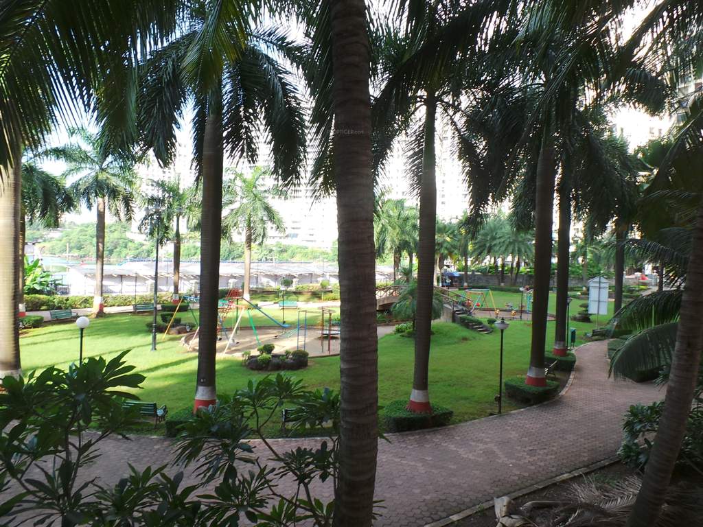 Supreme Lake Primrose