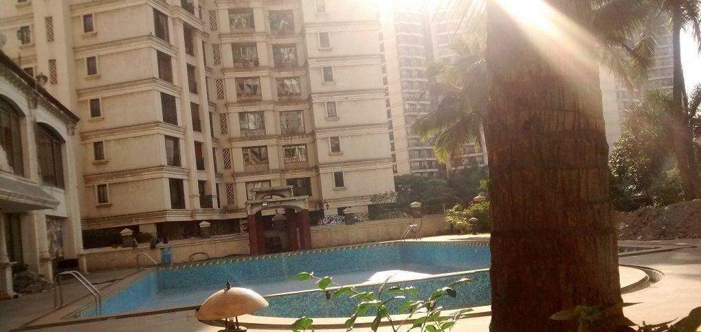 Supreme Lake Primrose