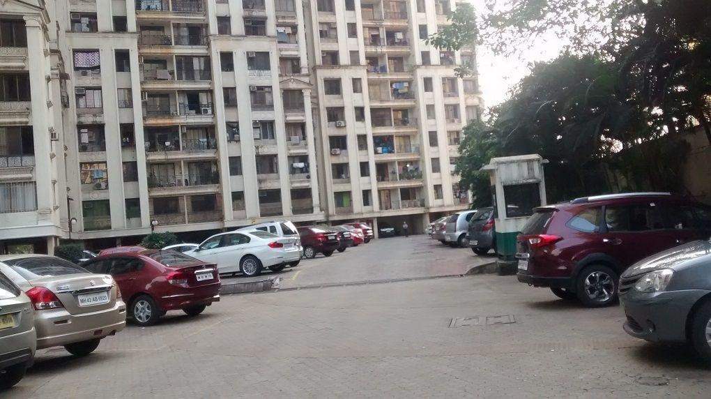 Supreme Lake Primrose