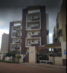 Elevation  exotica Elevation