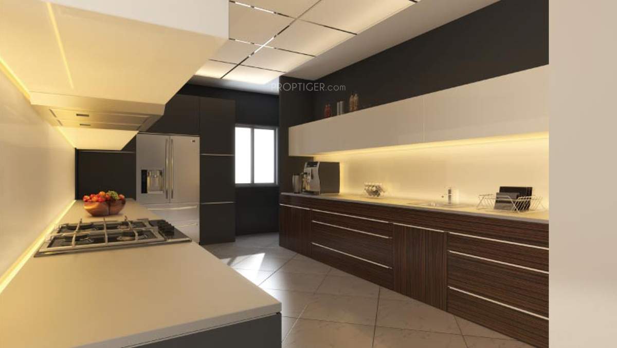 Images for Main Other of Livia Livia