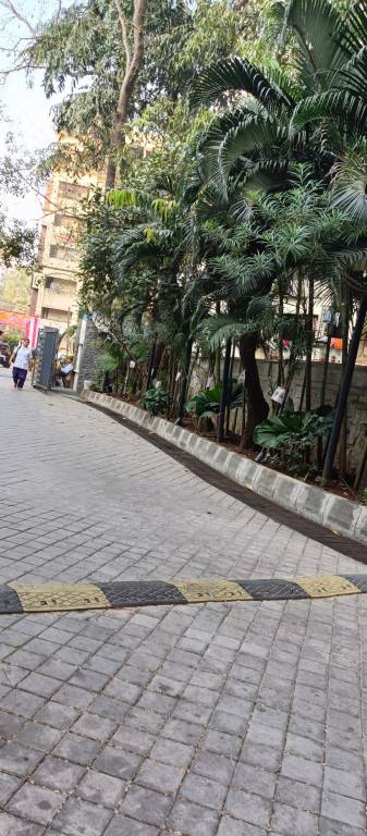  premier Internal Roads & Footpaths