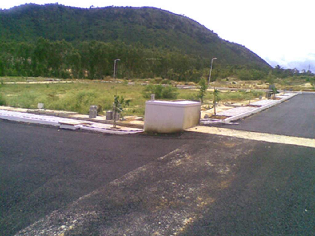  nandi nest Main Other