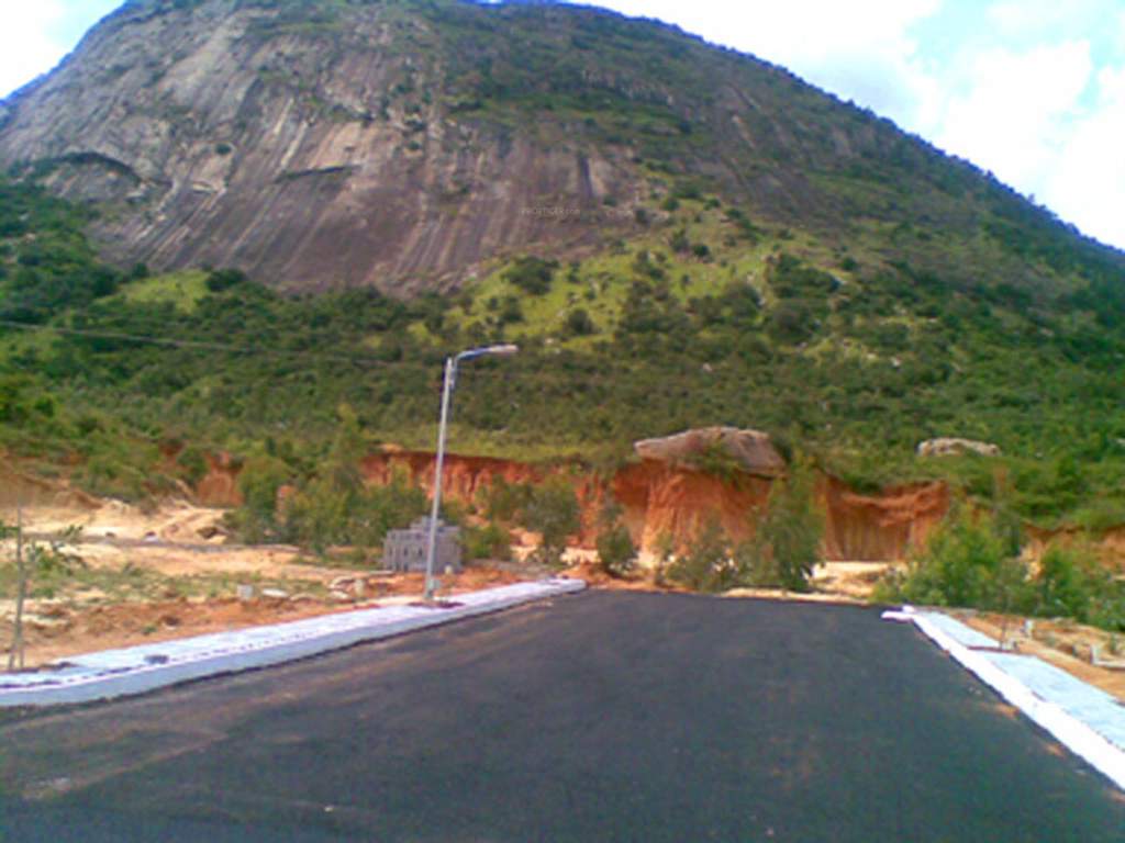  nandi nest Main Other