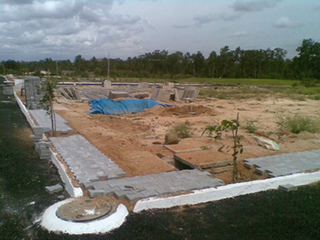 nandi nest Main Other