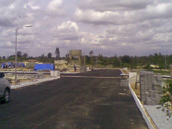  nandi-nest Main Other