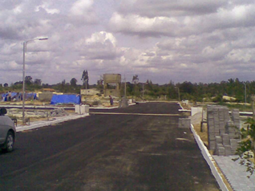  nandi nest Main Other