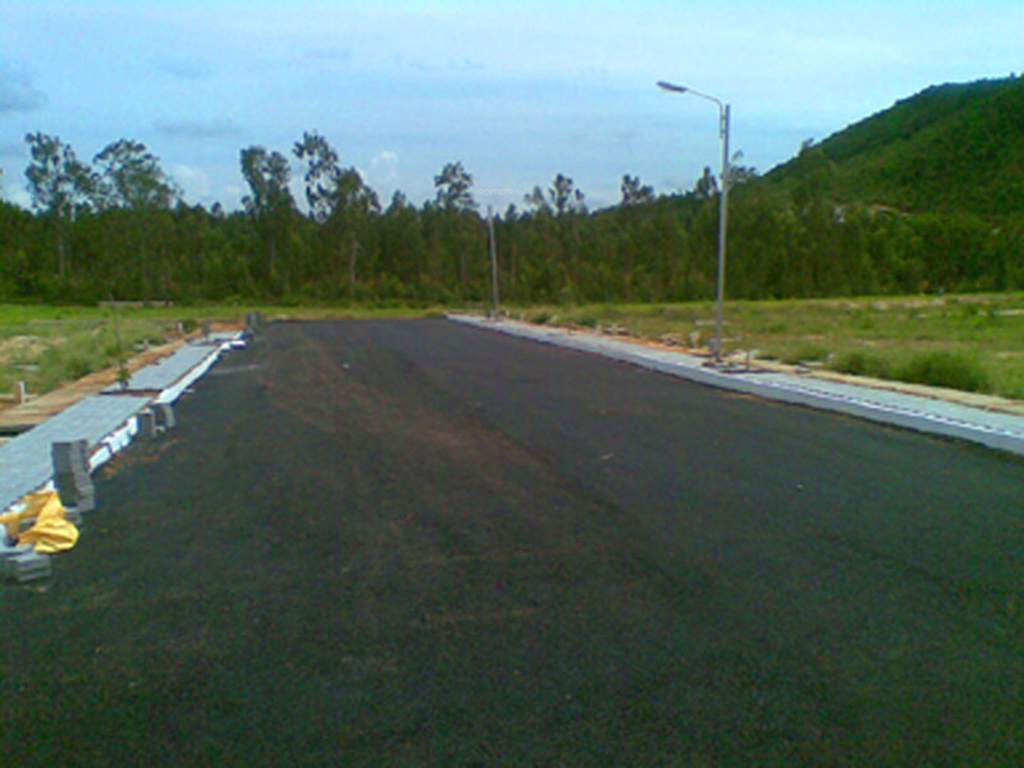  nandi nest Main Other