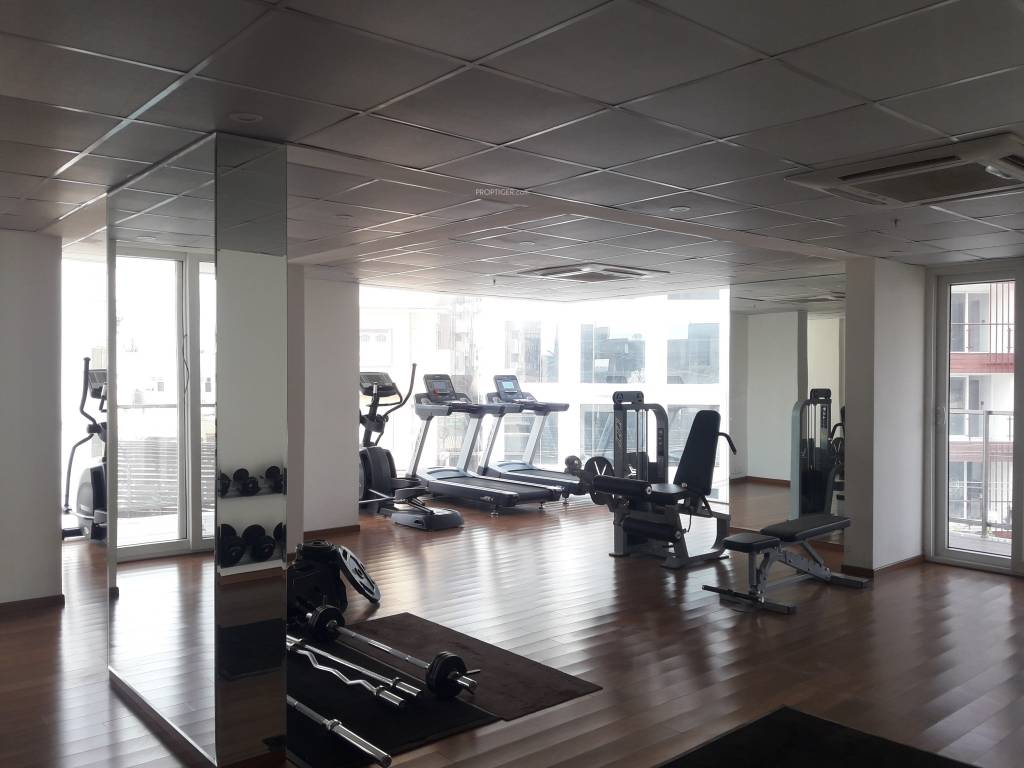  another sky Gymnasium