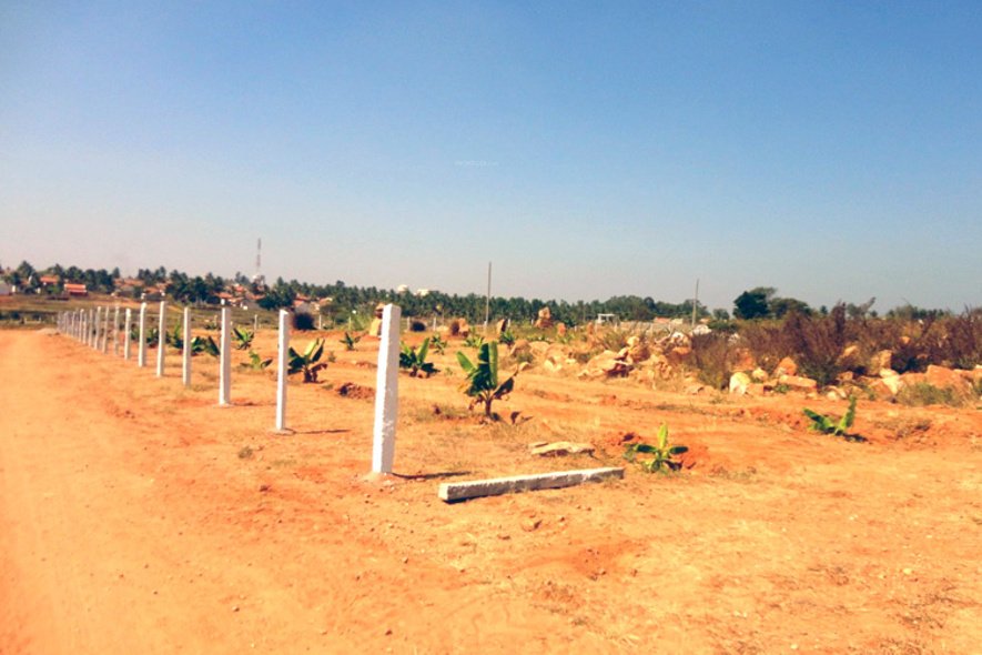 Images for Main Other of Blue Valley Smilee Views