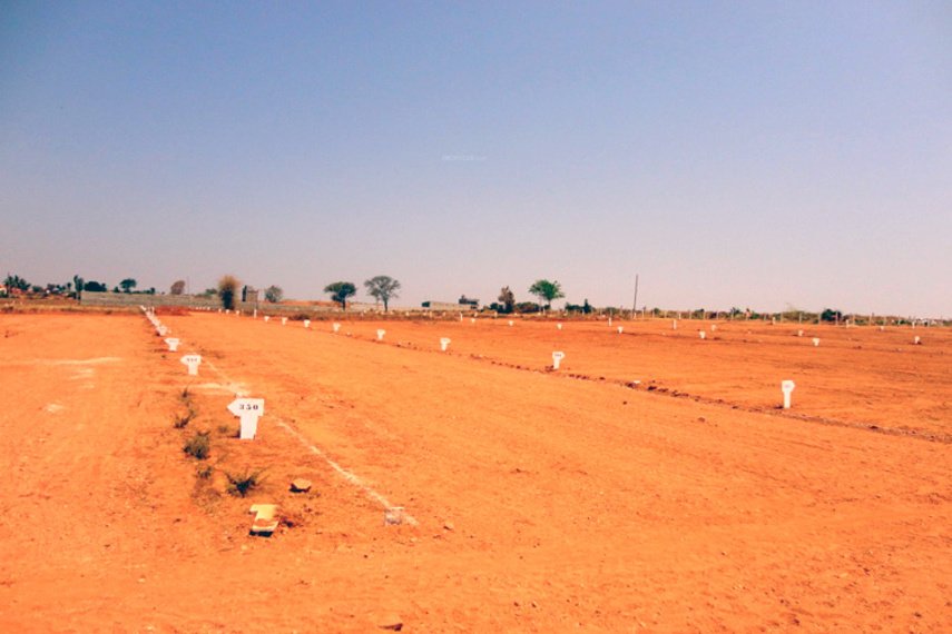 Images for Main Other of Blue Valley Smilee Views