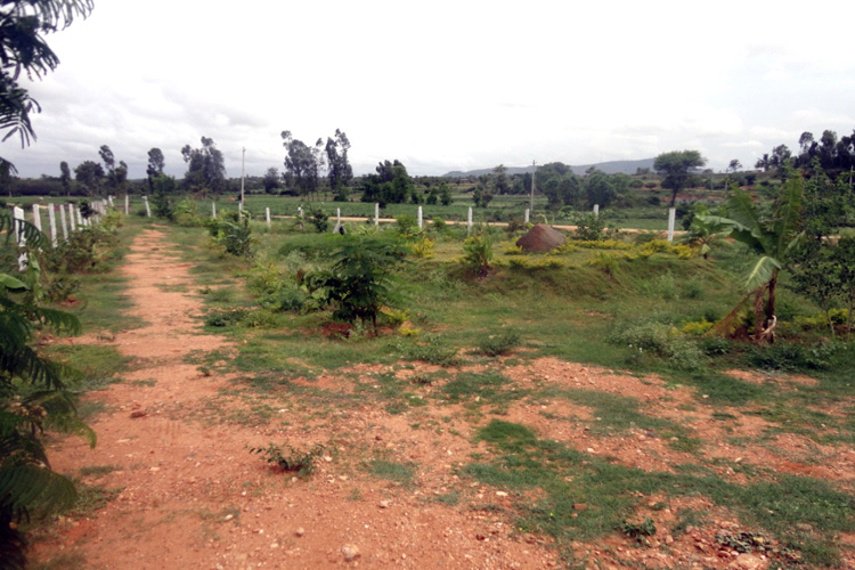 Images for Main Other of Blue Valley Smilee Views