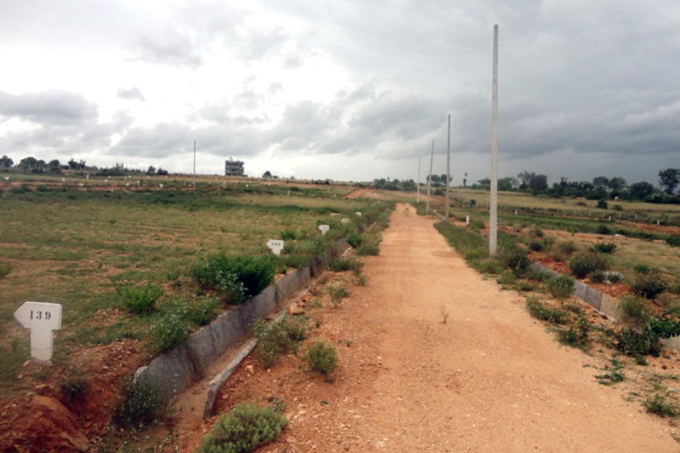 Images for Main Other of Blue Valley Smilee Views