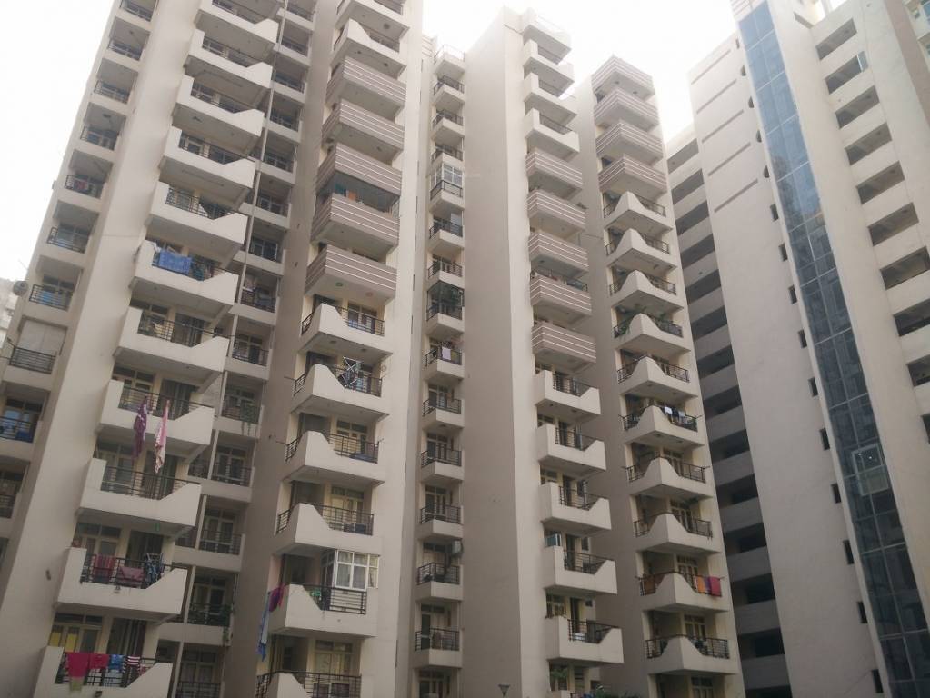  the willows Elevation