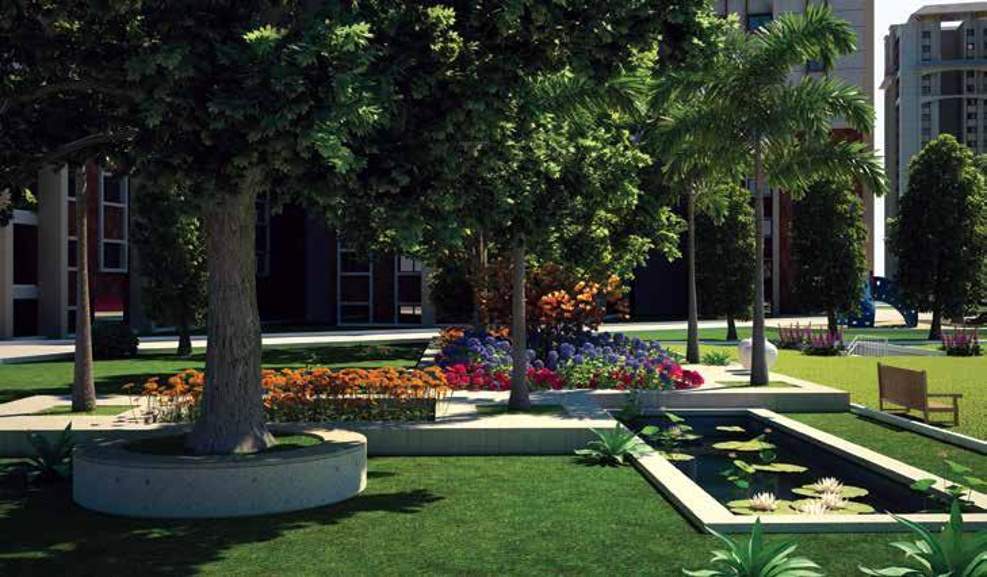 ithaca Images for Main Other of Skylark Ithaca