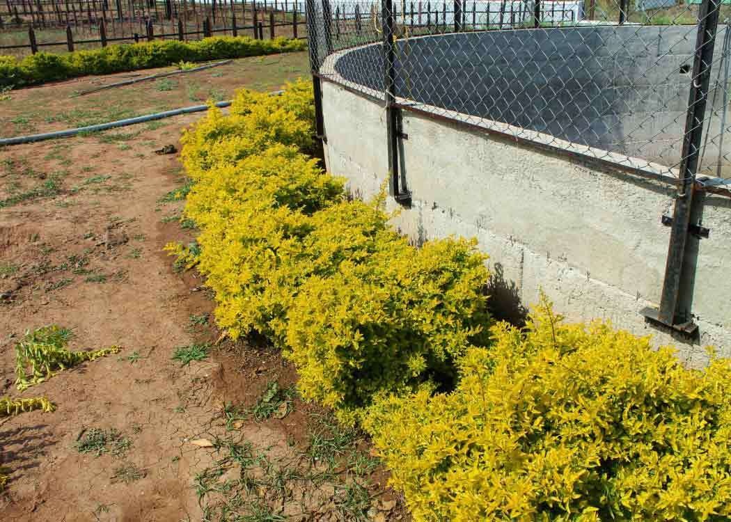 Images for Main Other of Landmark Elite