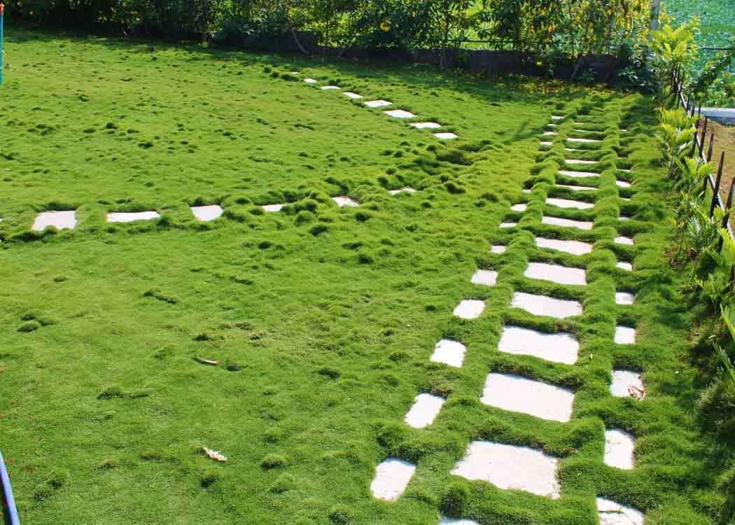 Images for Main Other of Landmark Elite