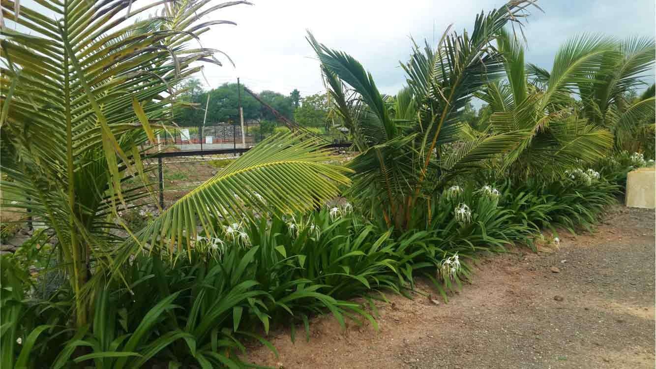 Images for Main Other of Landmark Elite