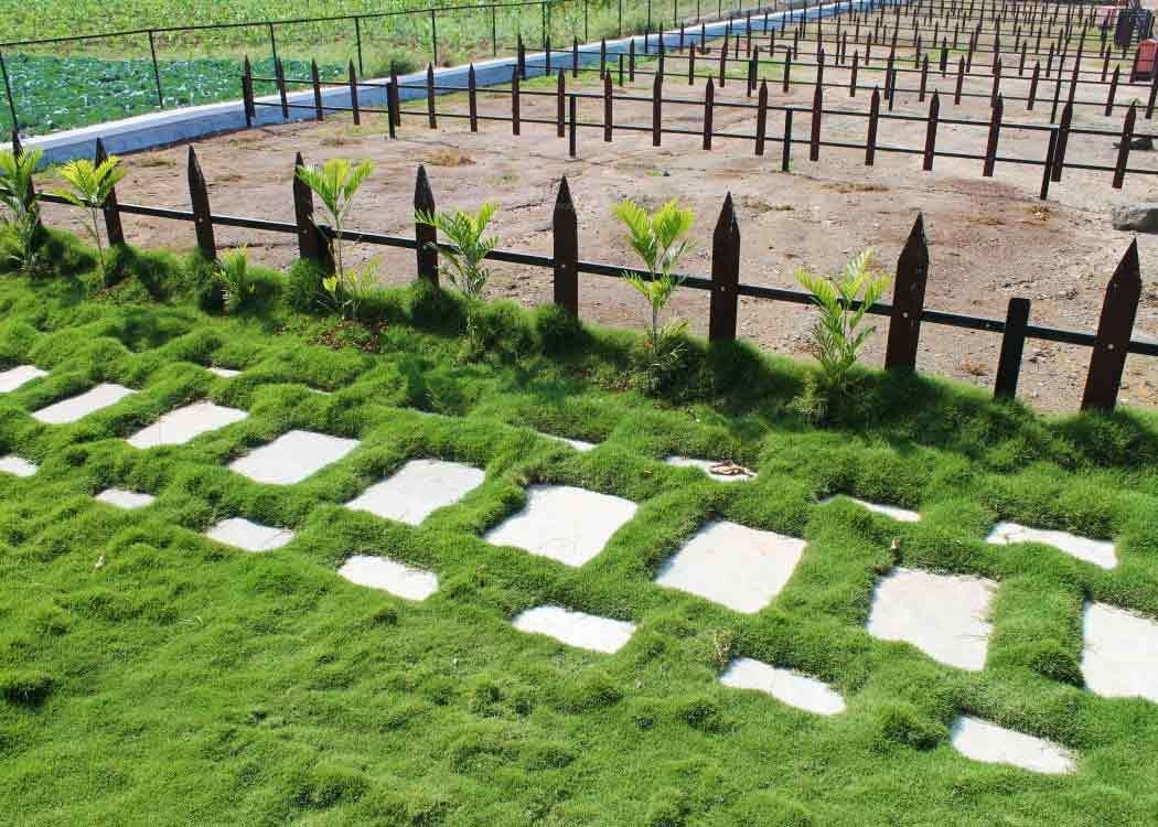 Images for Main Other of Landmark Elite