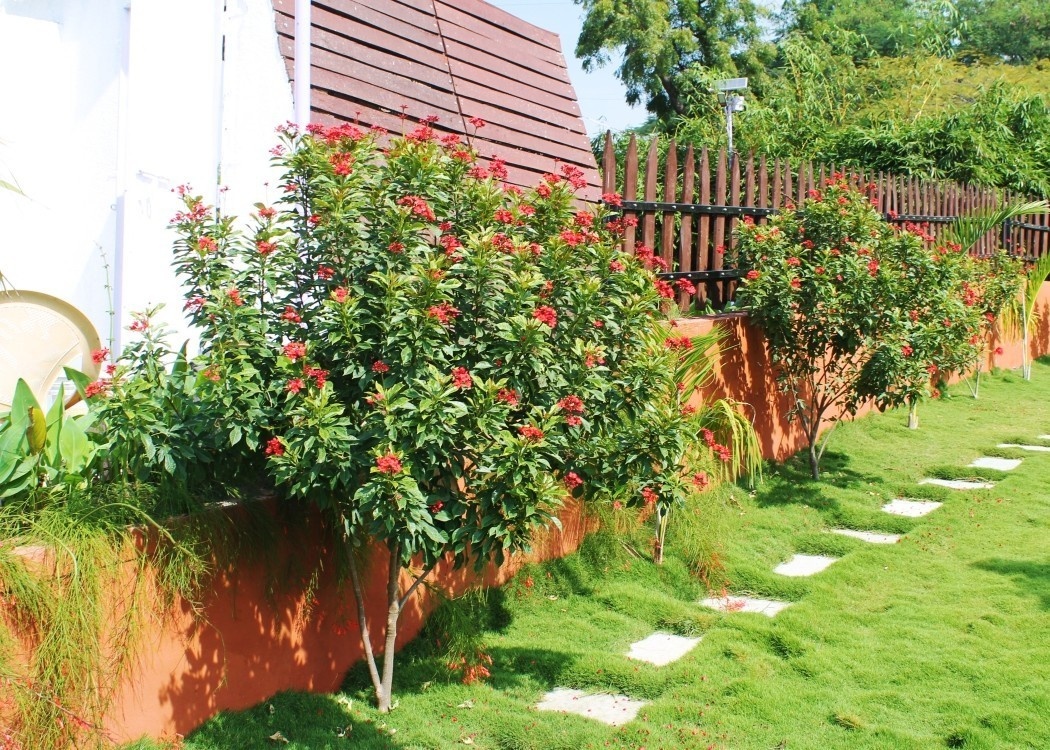 Images for Main Other of Landmark Elite