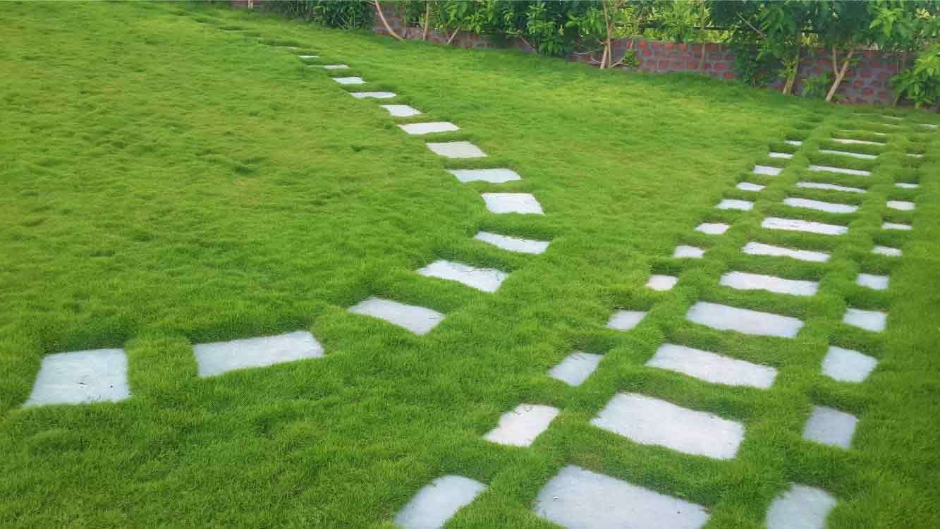 Images for Main Other of Landmark Elite