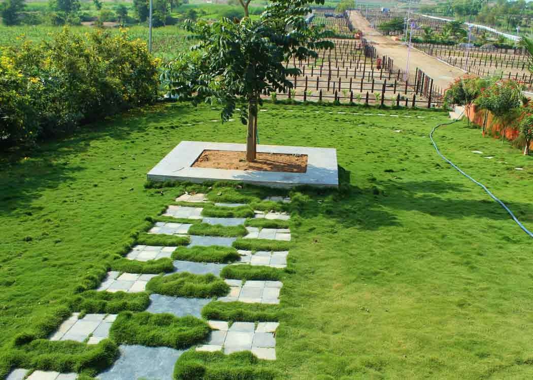 Images for Main Other of Landmark Elite