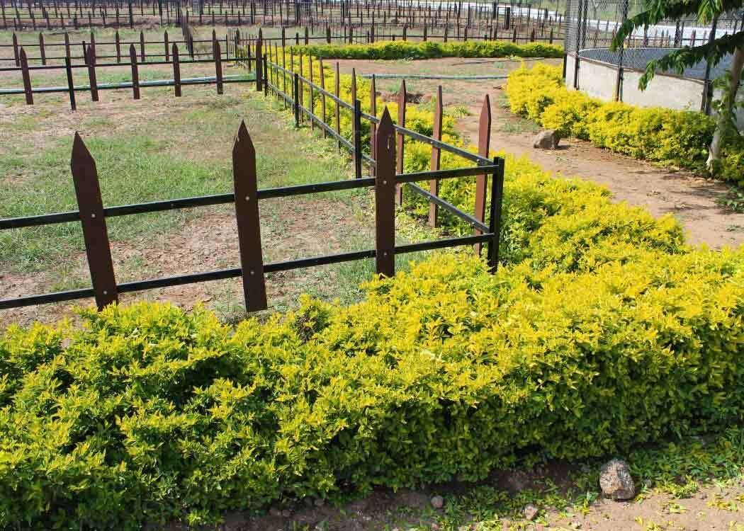 Images for Main Other of Landmark Elite