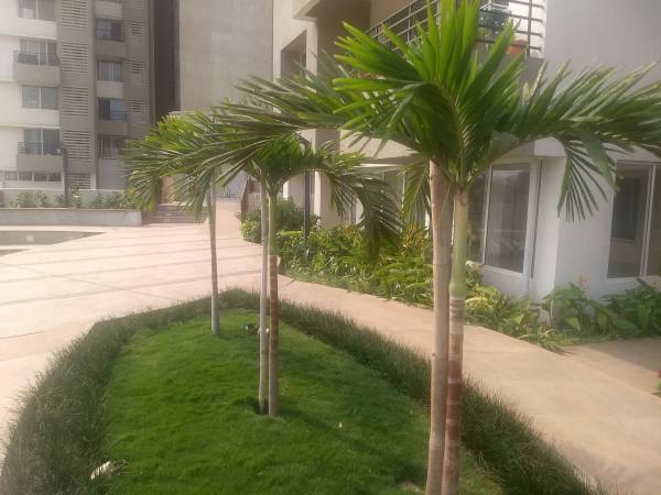 amenities of Siddhashila Eira