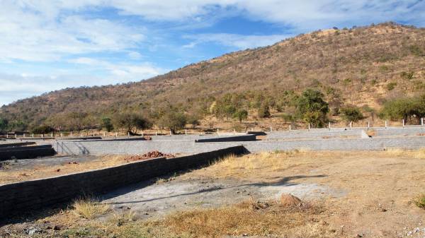 Images for Main Other of Aarohi Gladiolus