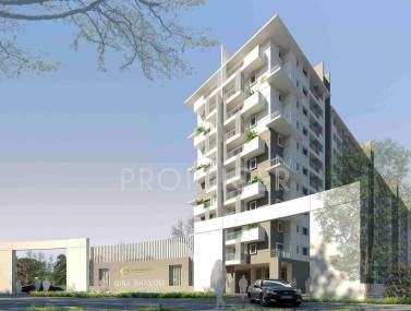 Images for Elevation of Gina Shalom Images for Elevation of Gina Shalom