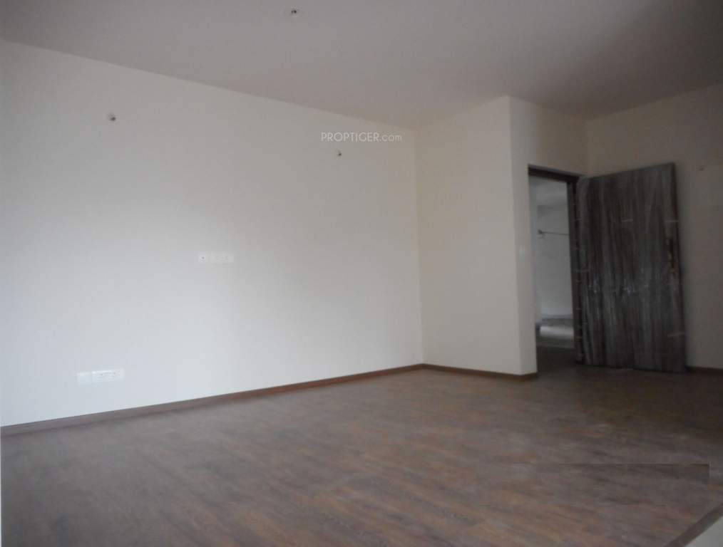  shalom Images for Main Other of Gina Shalom