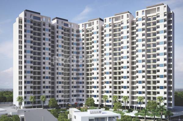 Images for Elevation of Cosmos Classique classique Images for Elevation of Cosmos Classique