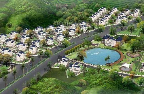  hawaiian Images for Elevation of Cosmos Hawaiian