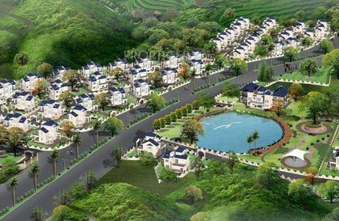  hawaiian Images for Elevation of Cosmos Hawaiian