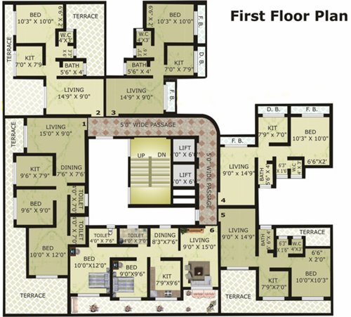 Images for Cluster Plan of Cosmos Solitaire solitaire Images for Cluster Plan of Cosmos Solitaire