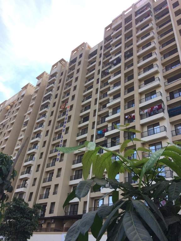  legend Images for Project