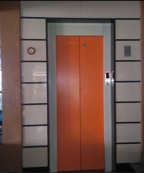  golden-palms Lift Available