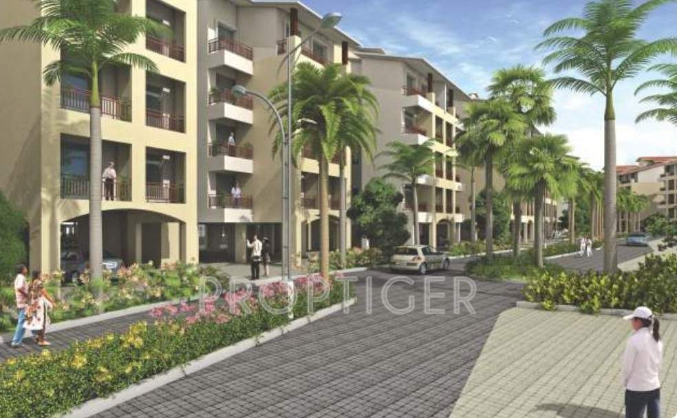  nautilus Images for Elevation of Mark Nautilus