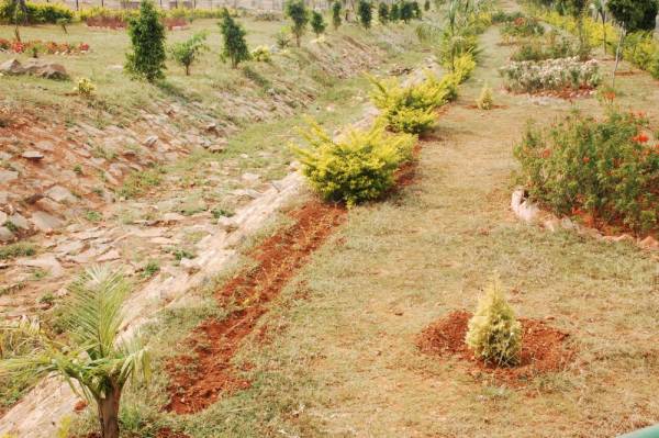  green-valley Elevation