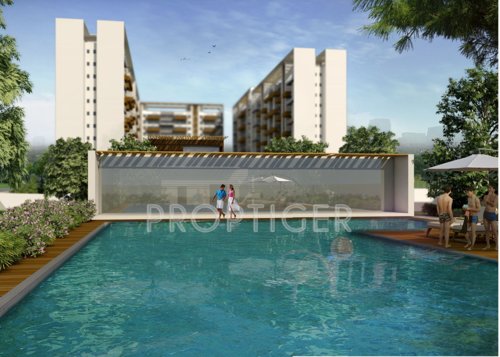 Images for Amenities of Lushlife The OVO Life